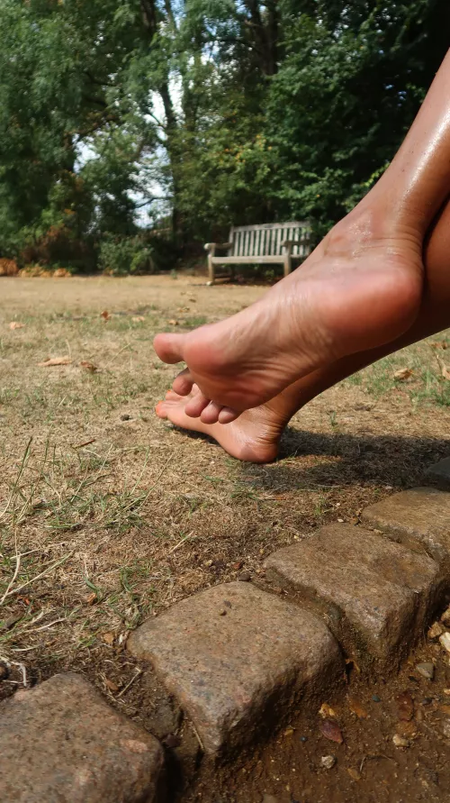 Could you resist worshipping my feet out in public? I know you can't, so get on your knees and kiss them like a dog.