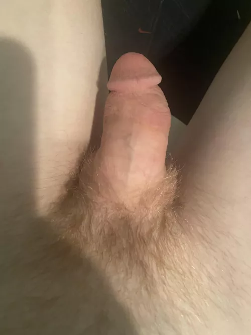 Cute little cock 😍 but my 🍑 is the treat