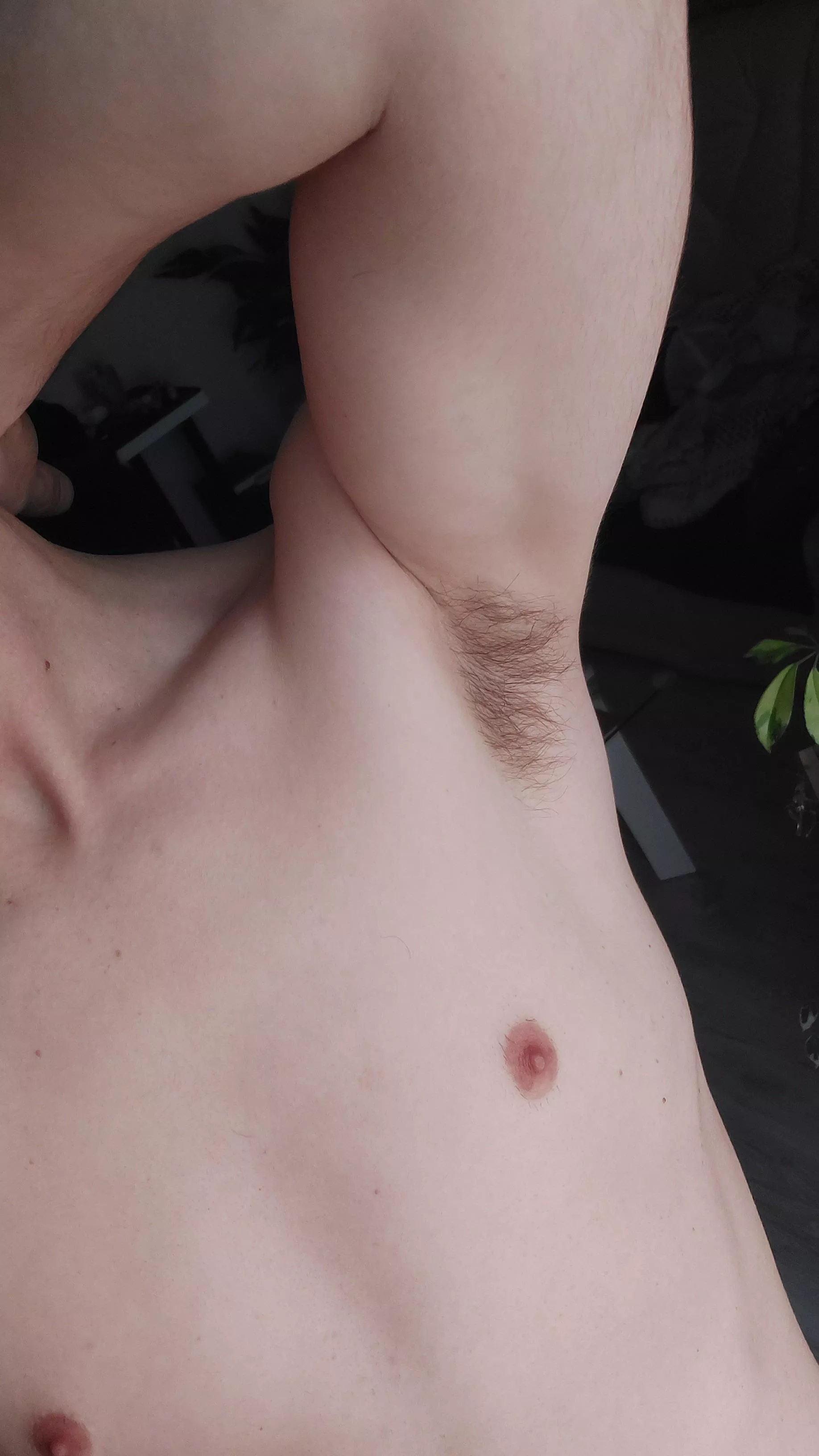 Don’t know if I should let it grow or shave it?