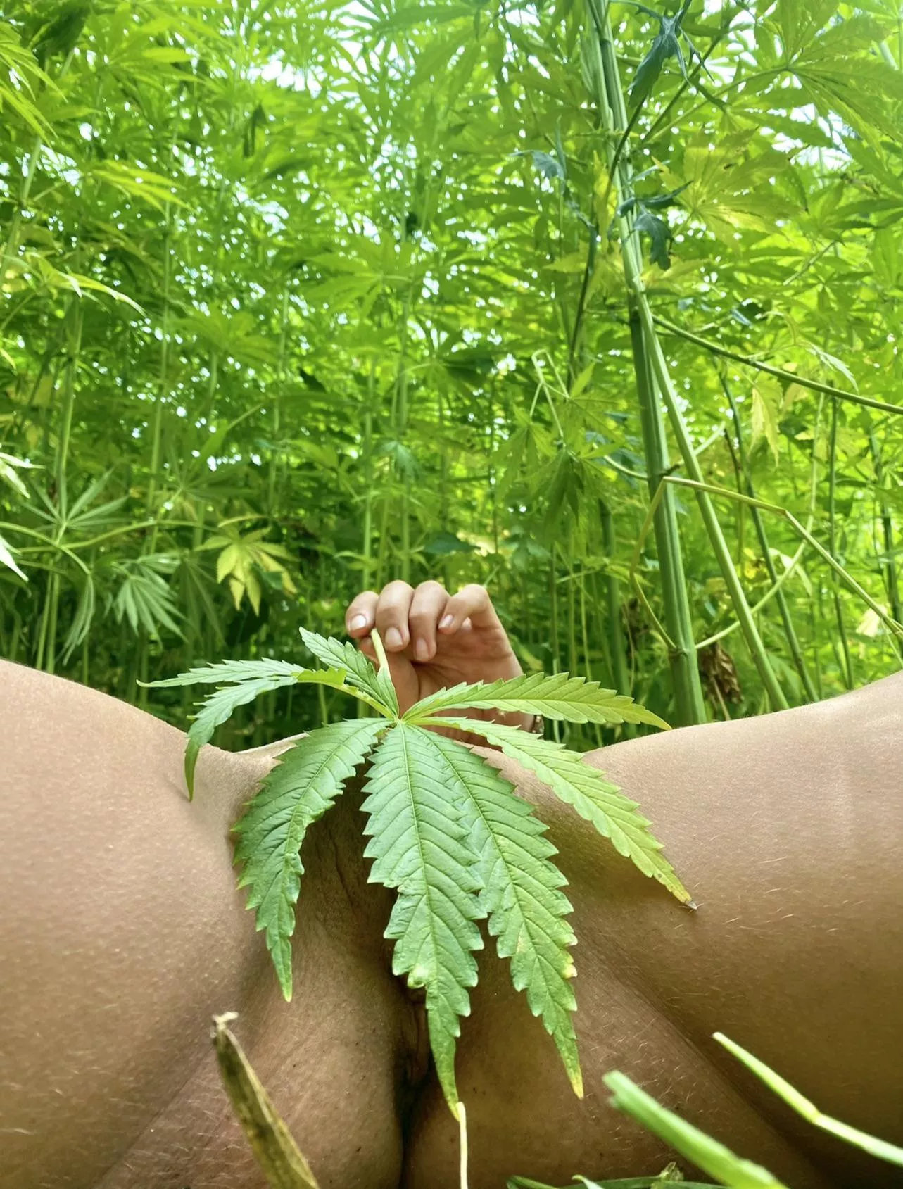 Eating my pussy may have some serious side effects