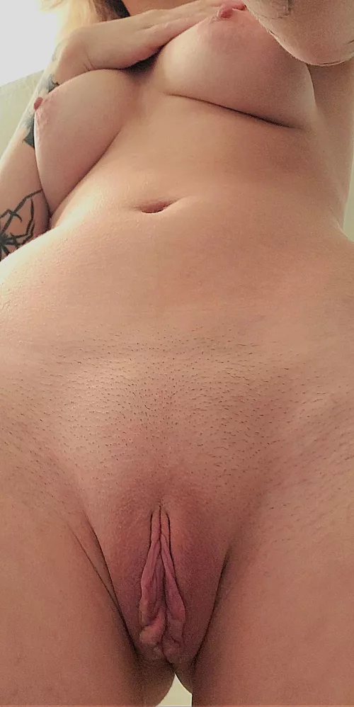 Freshly trimmed butterfly pussy