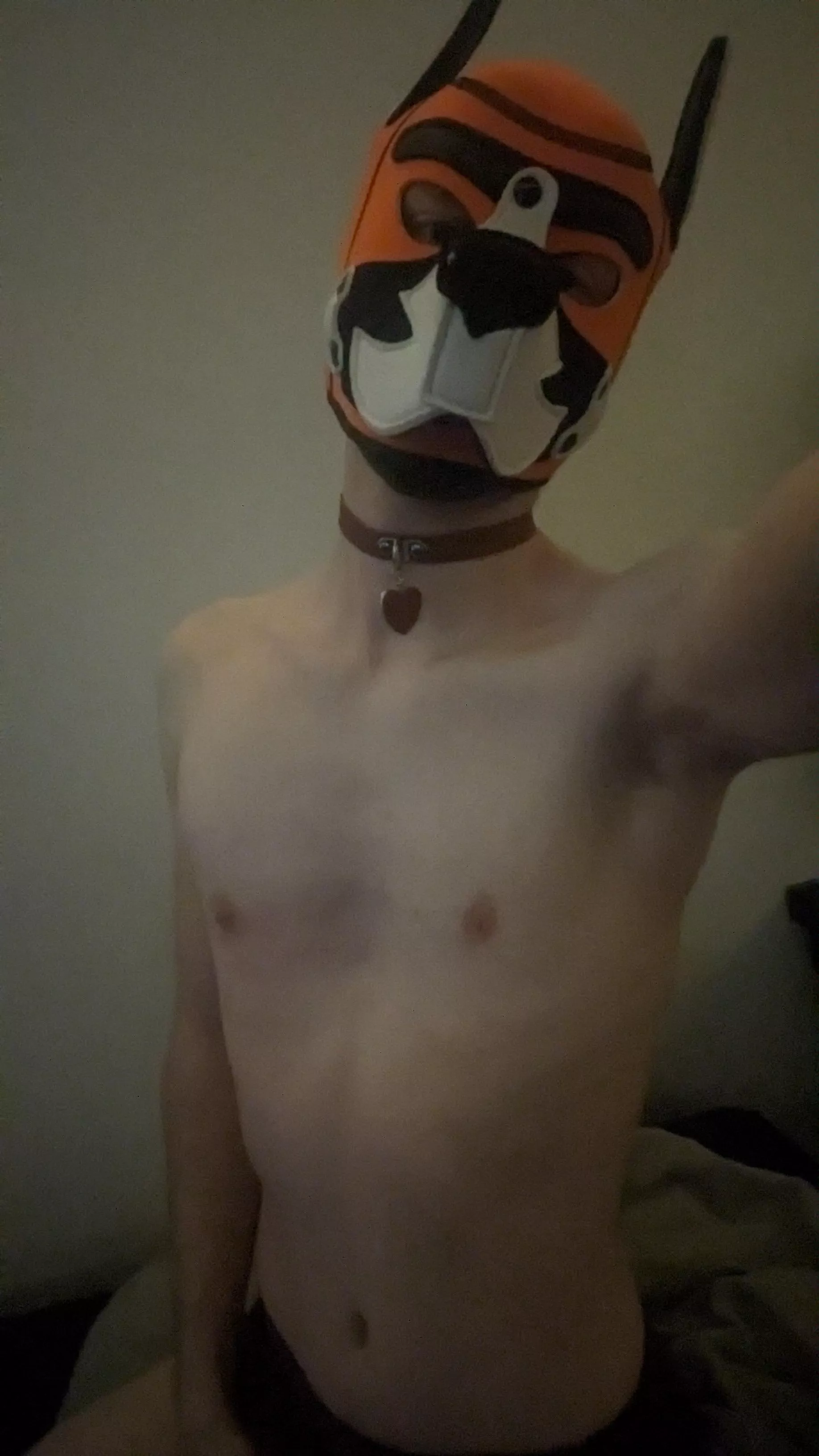 Good morning bark bark🐕🐕