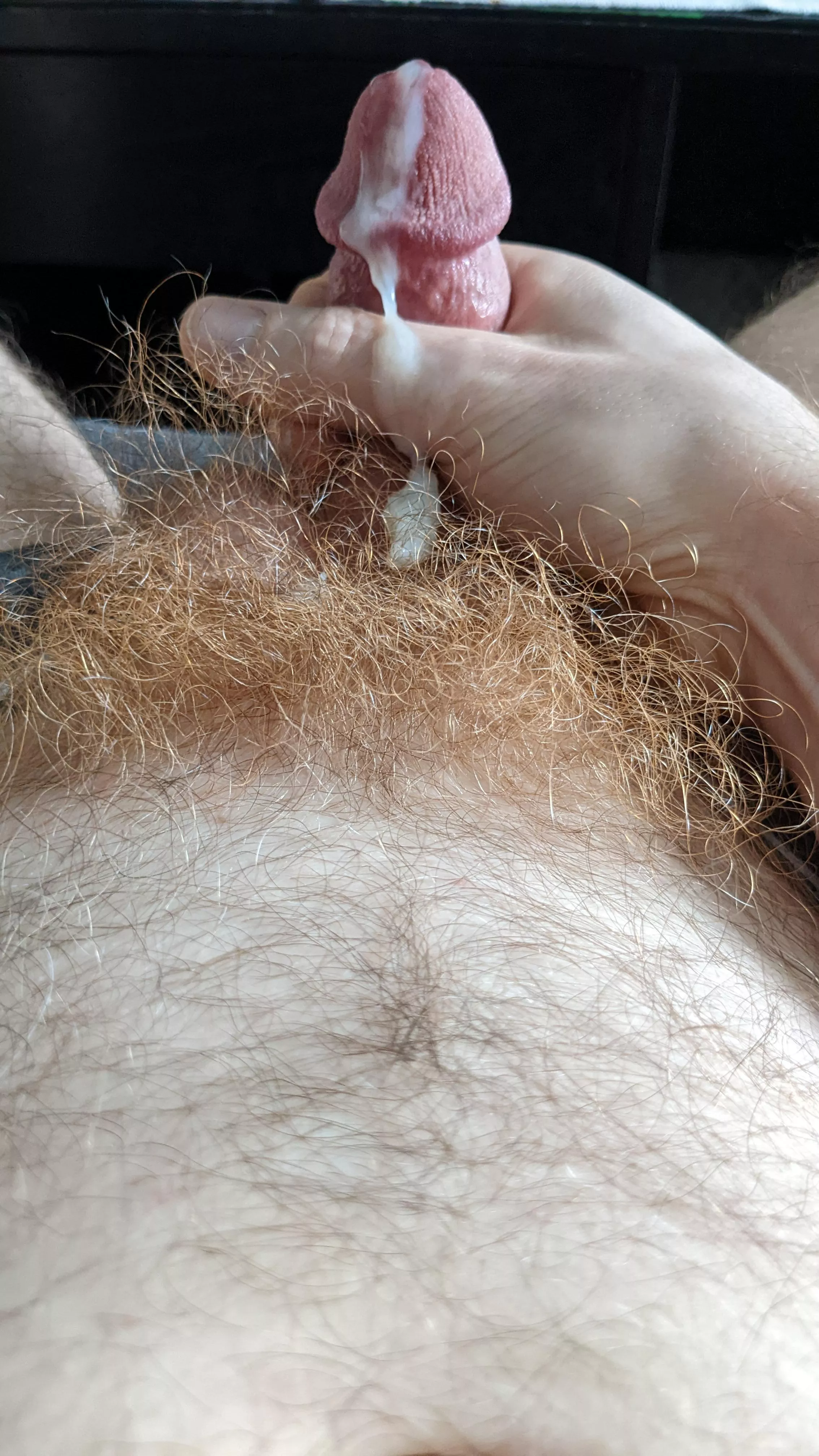 Got some in my ginger bush!