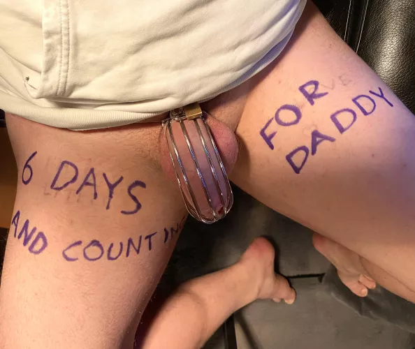 He likes other people jacking off to my locked cock 😏