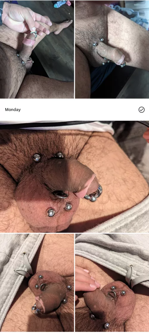 how's it going y'all?