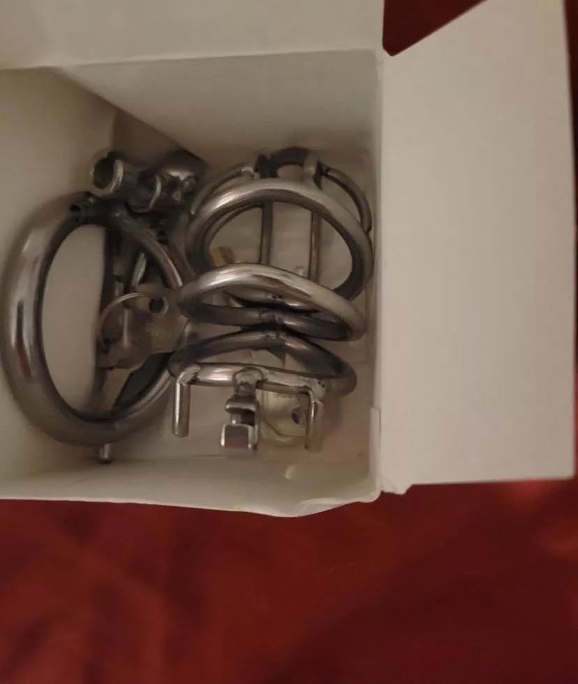 I’m locking up that cock for good