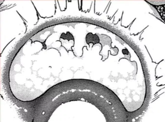 LF Mono Source: 1boy, 1girl, blank censor/white censor, close up, creampie, cum in pussy, ejaculation, internal cumshot, sex, vaginal, womb/uterus, x-ray