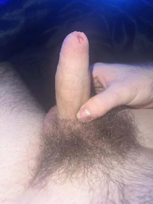 My hairy 4 inch untouched cock