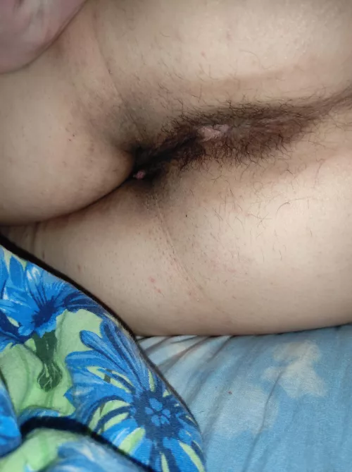 My wife's hairy asshole