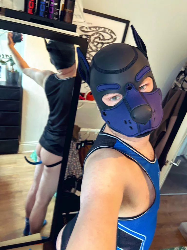 New in blue (quick pic)