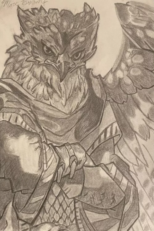 Owls are probably my favorite type of avian. They’re so much fun to draw and just really attractive!