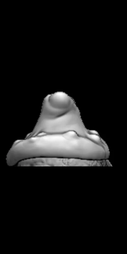 saw this on twitter new toy? #just the tip