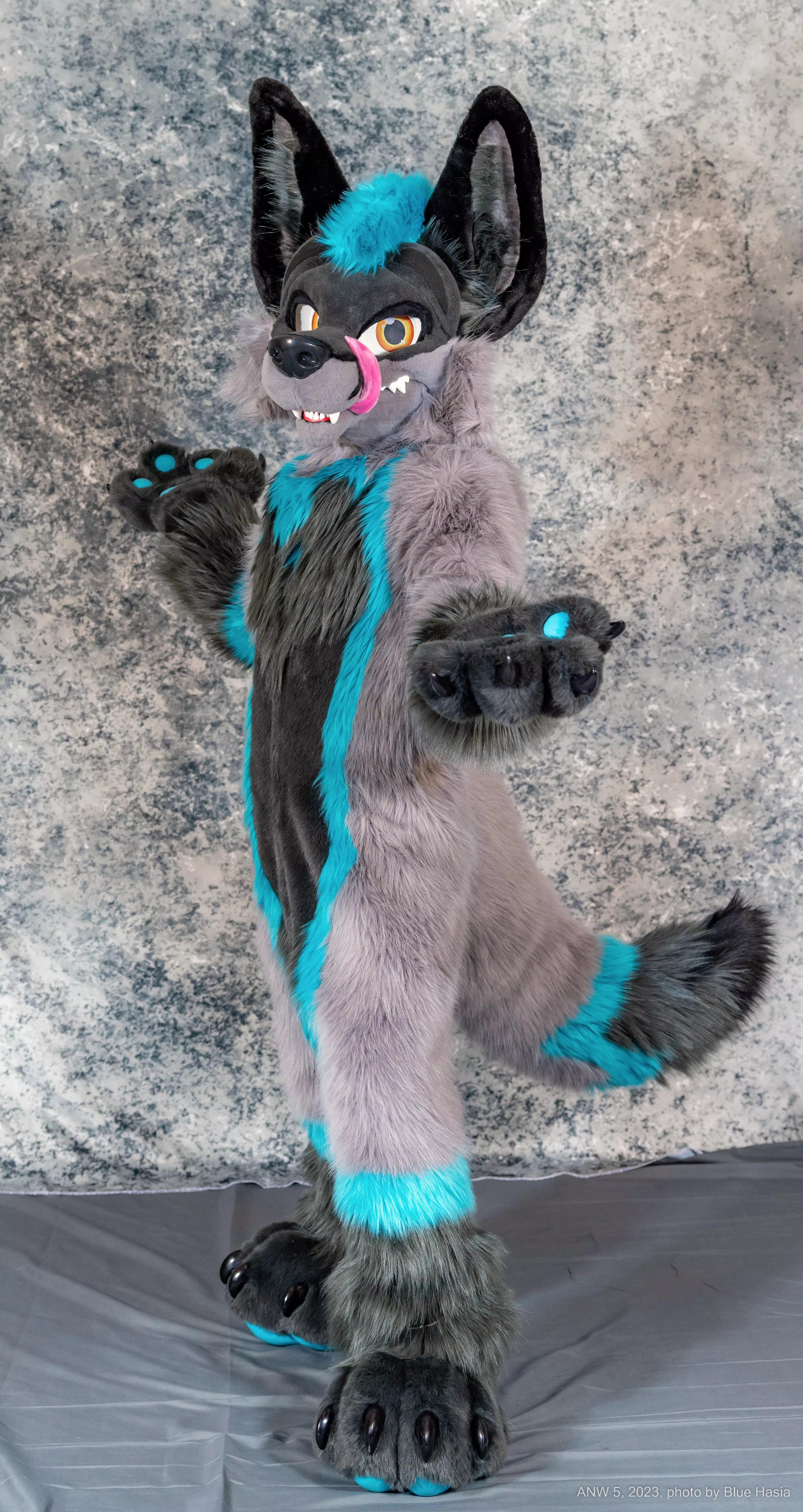 Shit, I dunno man, I'm just a fox!