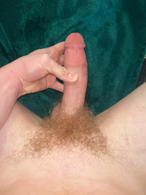 Someone told me the pubes are good? Hmu