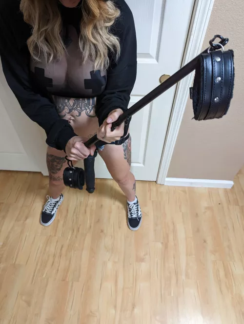 Spread 'em, slut, it is time to get your hole destroyed