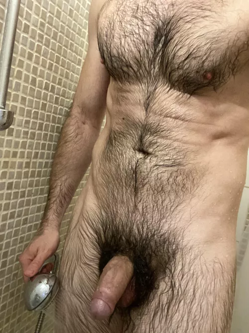 Wet fur