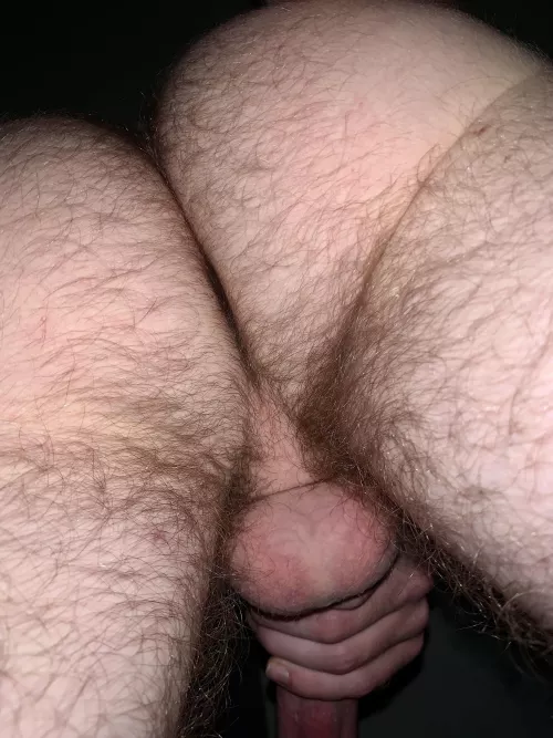 Who would like me to sit on their face?