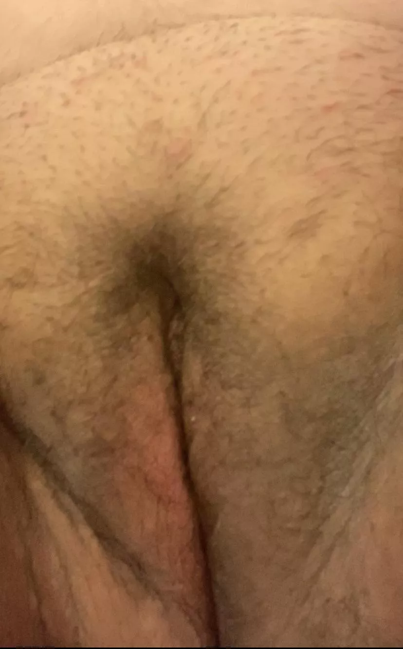 would u 👅 this hairy pussy