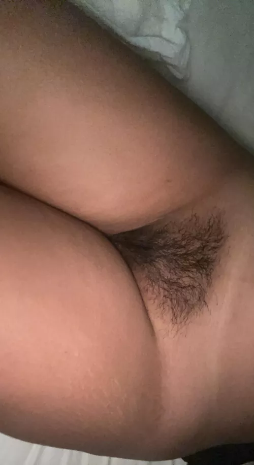 would you fuck my hairy pussy?😋