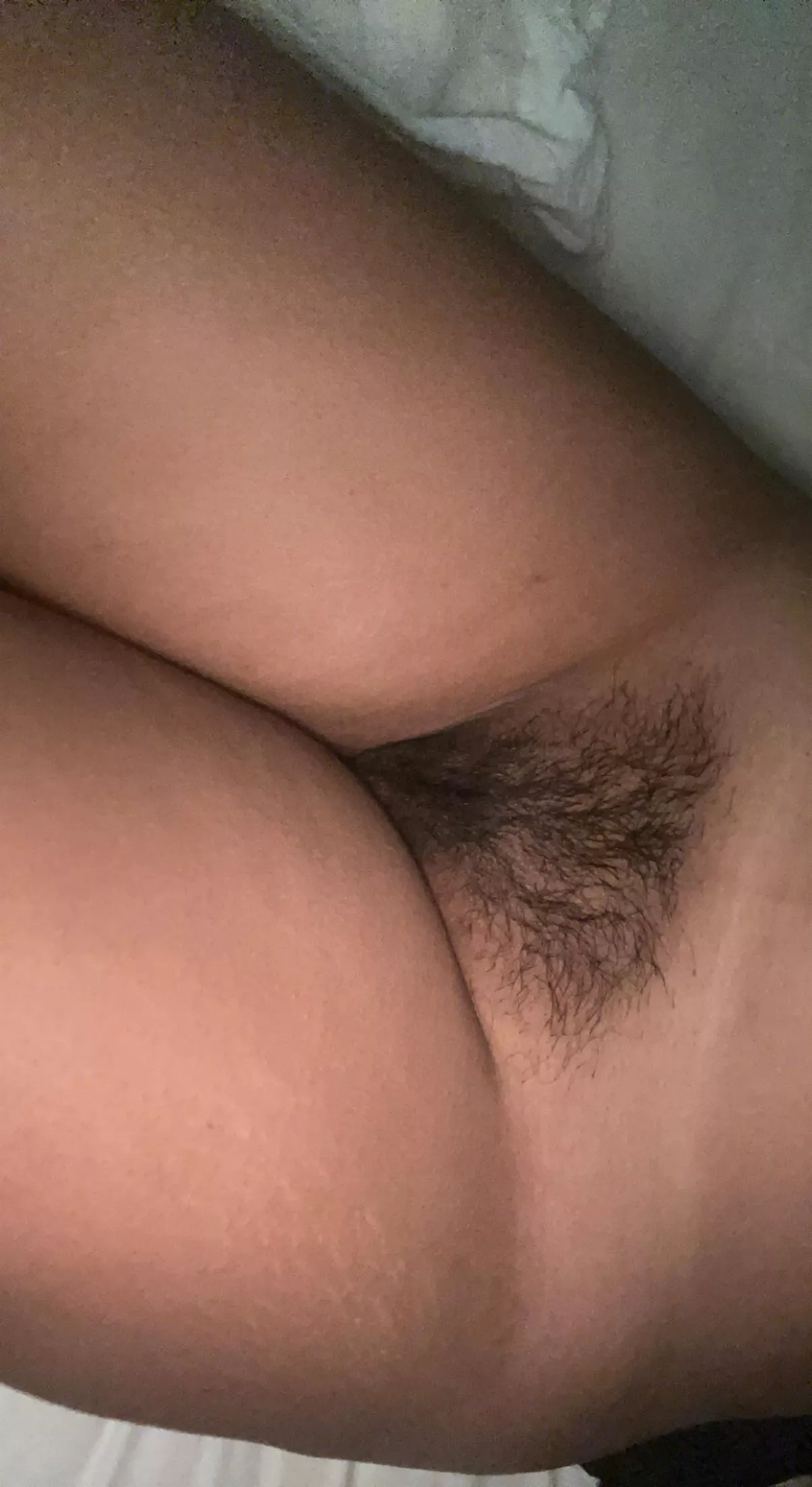 would you fuck my hairy pussy?😋
