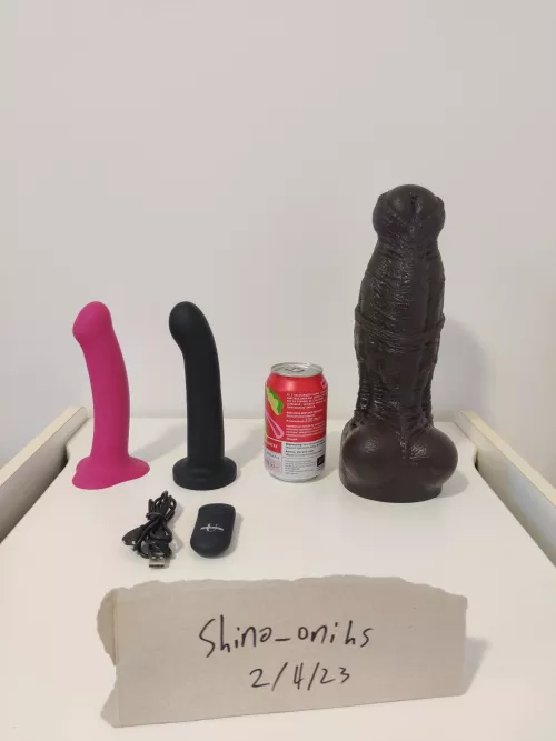 WTS Large Mr Hankey, Vibrator, and silicone strap-on dildo!