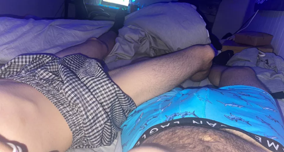 18 snap us hayandtan