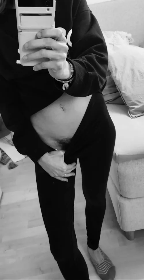 5 free accesses for 24 hours