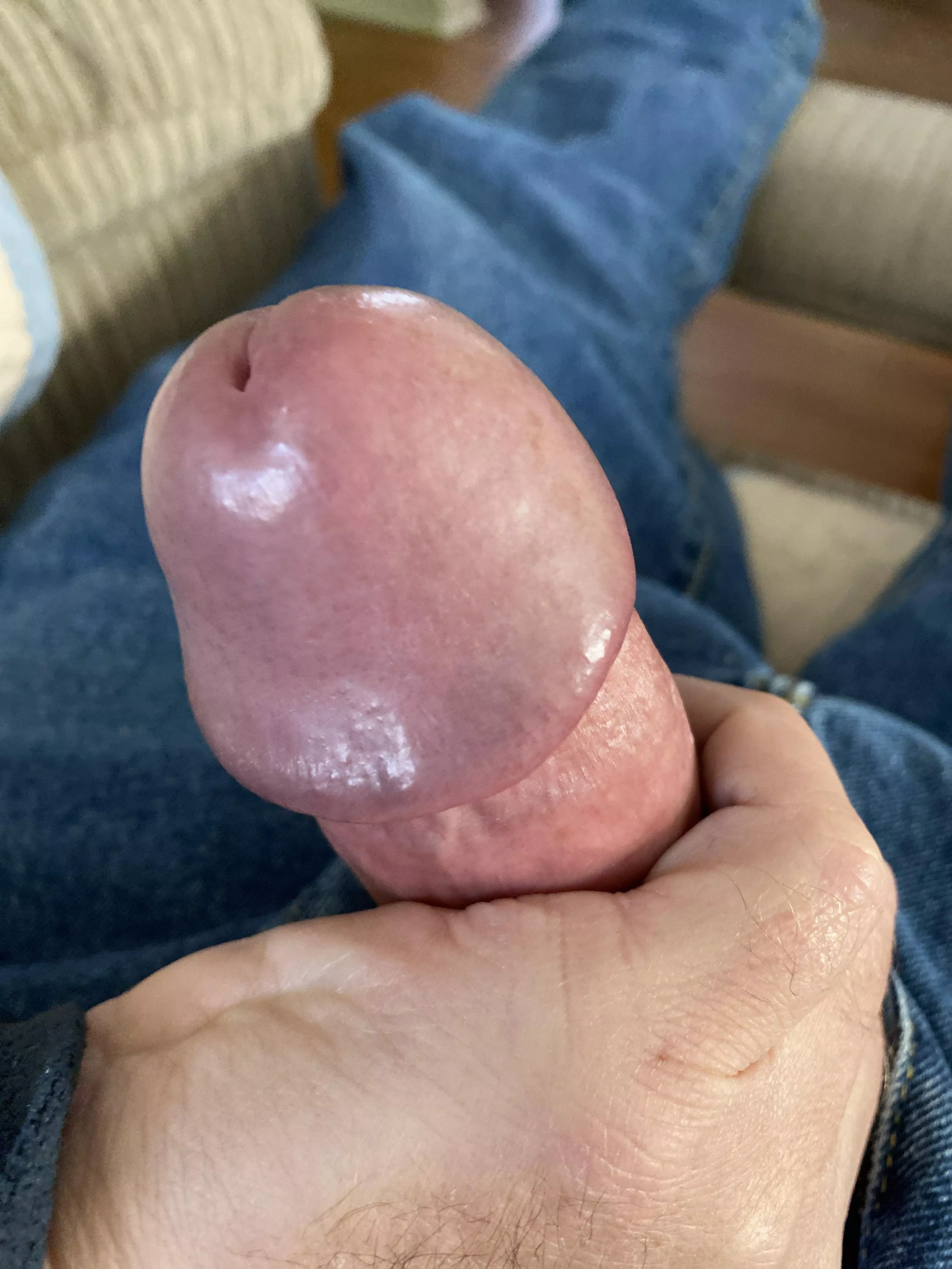 [57] NEOhio. Oh my! Someone cum and lick the head of my dick!