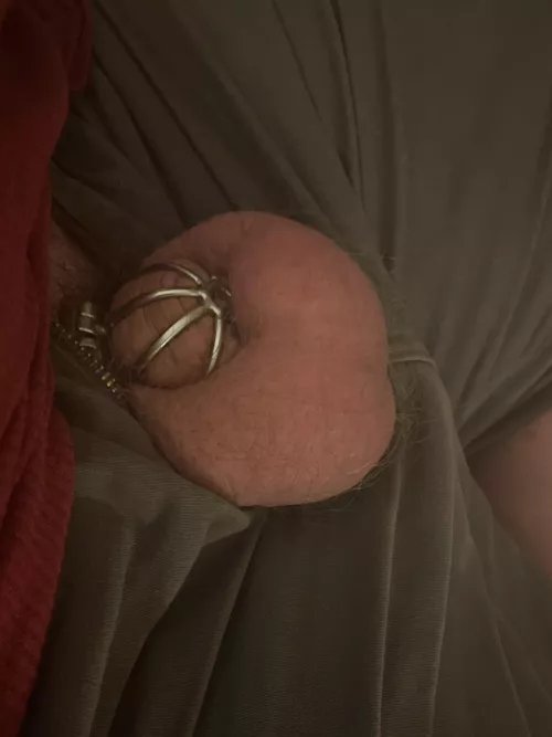 Am I ever getting out?