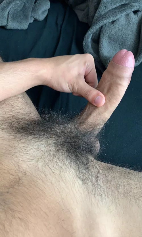 been a while since i’ve trimmed