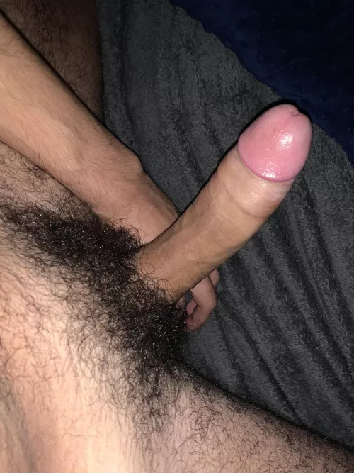 been letting the bush grow