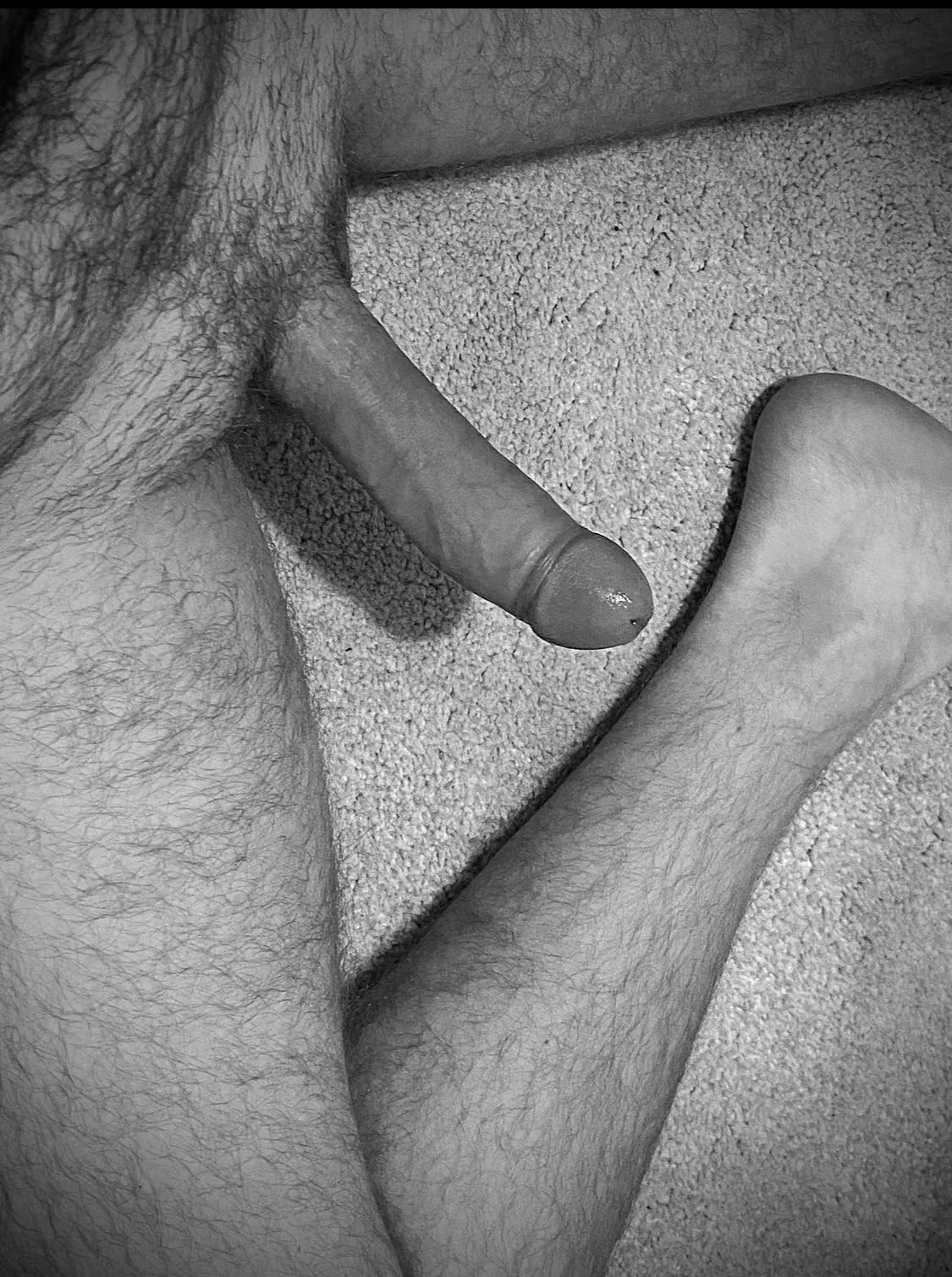 Black and white ginger