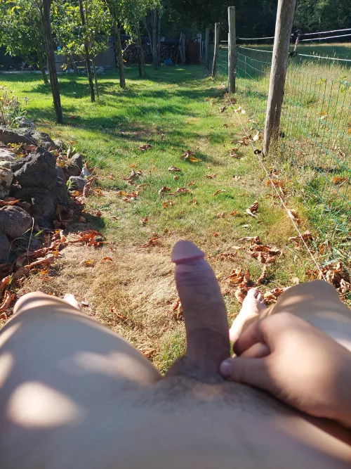 Chilling in the backyard