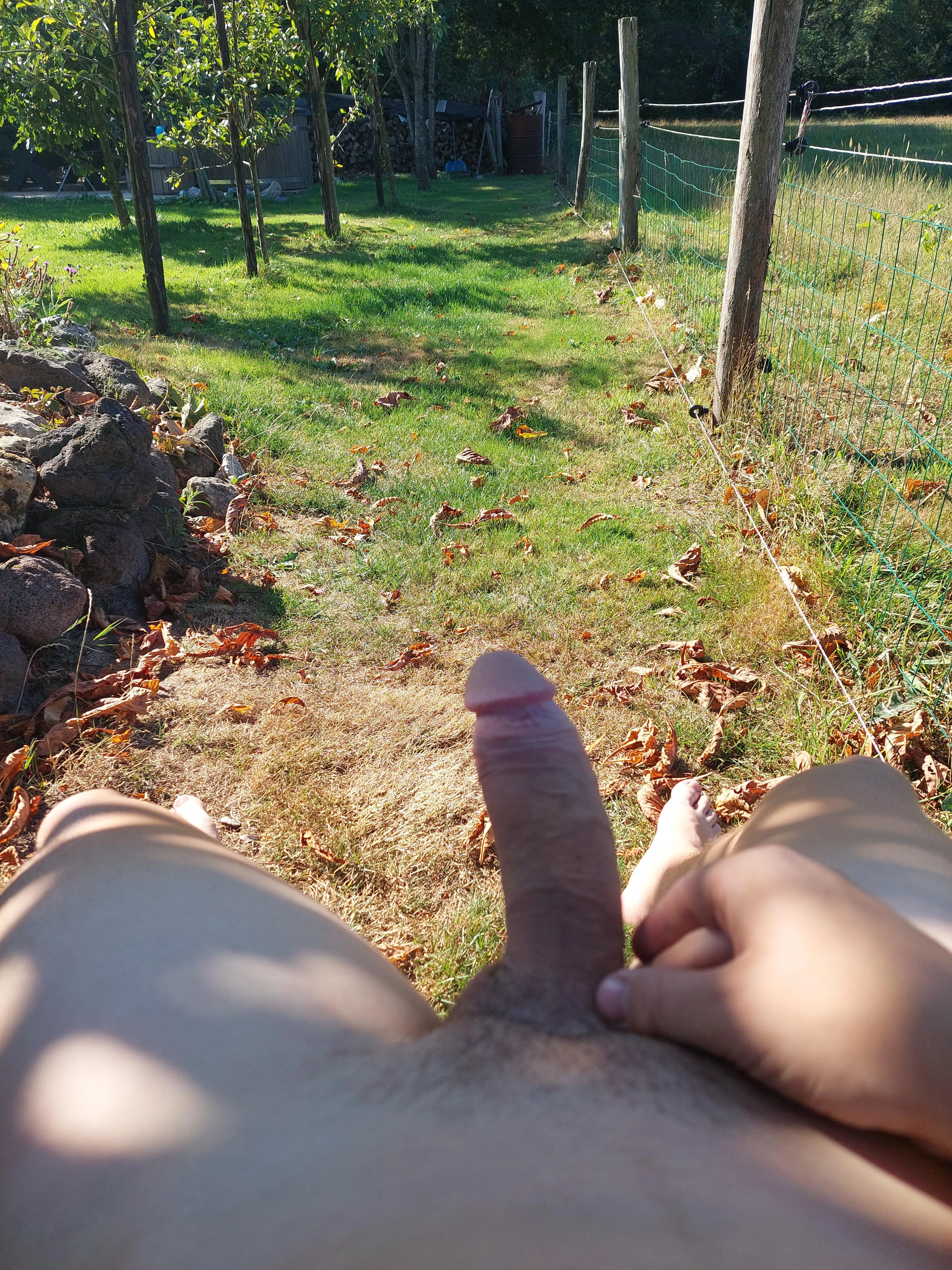 Chilling in the backyard