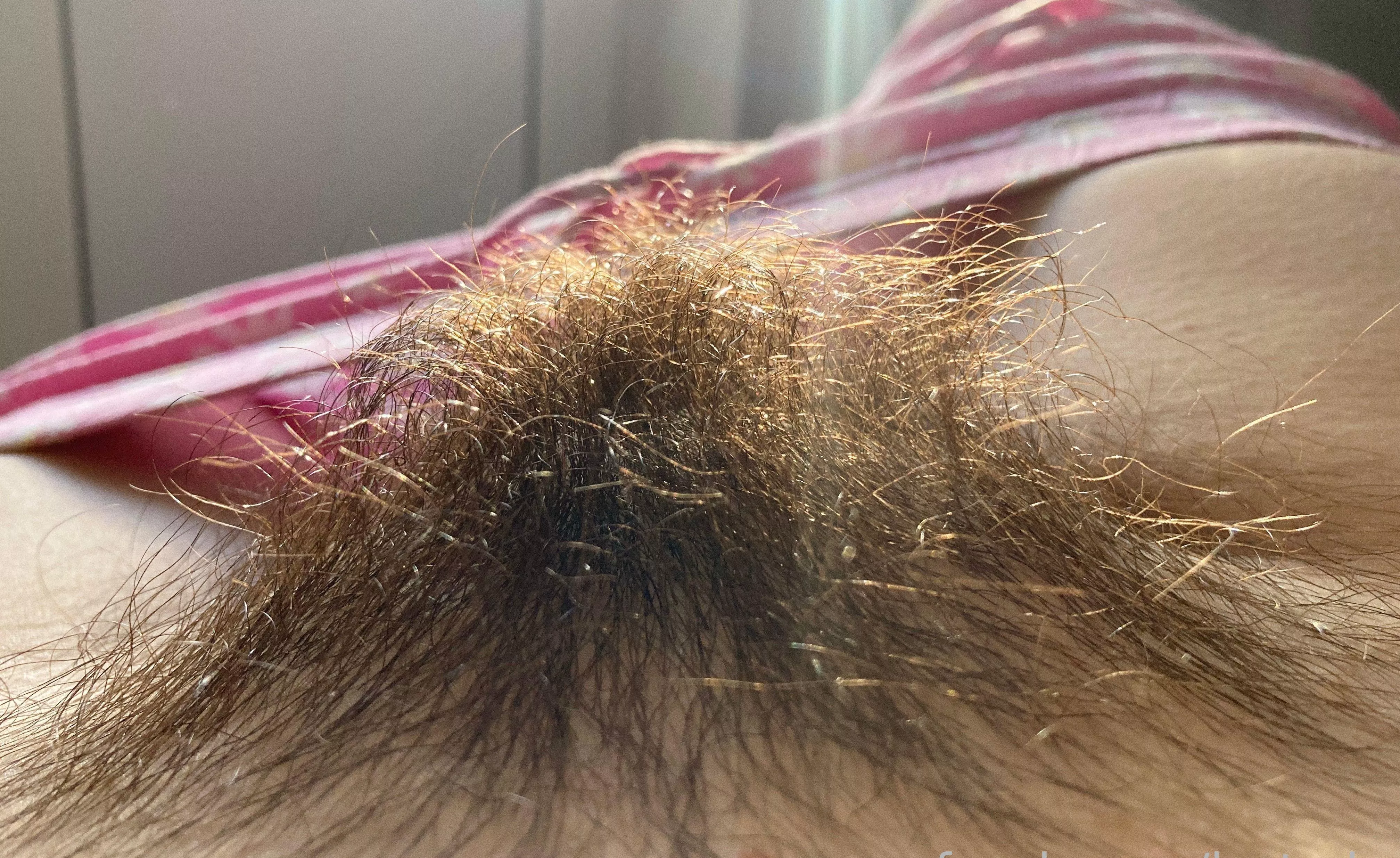 Come get lost in my forest