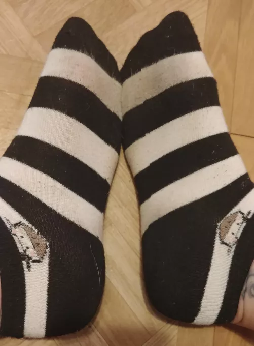 Day 3 in these socks. Message me to make them yours! I can ship them now, or keep wearing for you :)