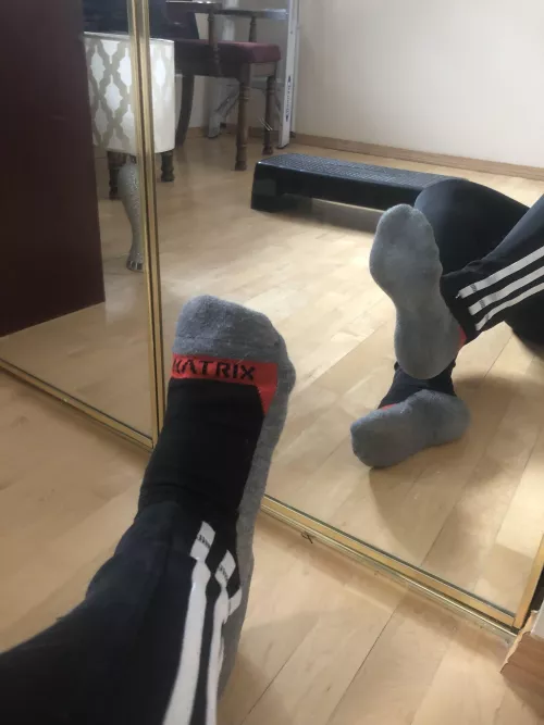 Day three for these stinkers! Message me when you want me to stop and take ‘em home with you!