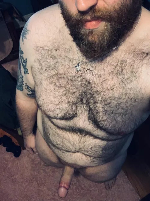 Do you like what you see?