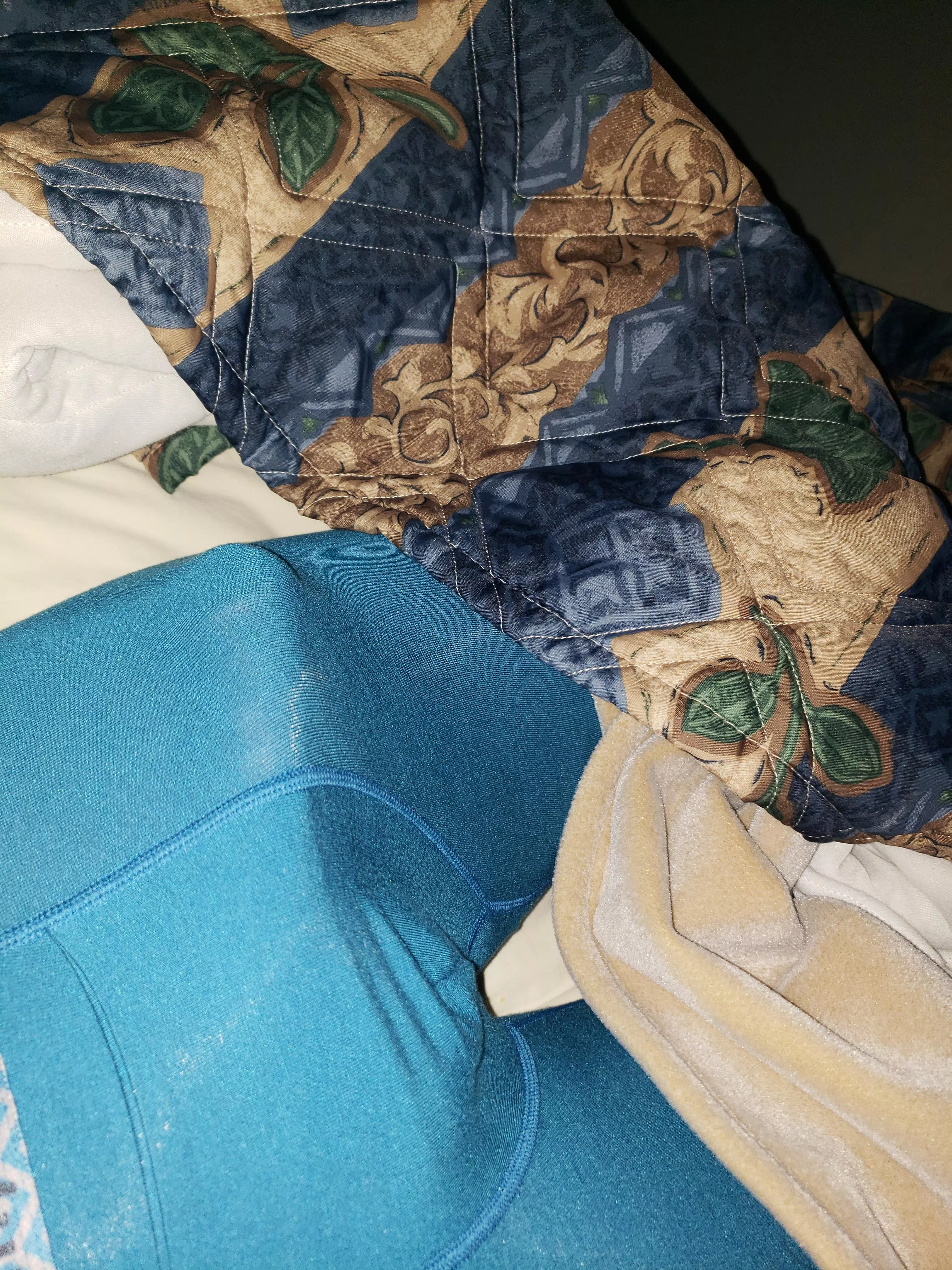 Do you see what's hidden?