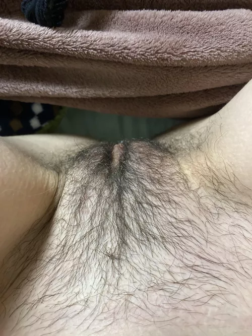 Dont wanna shave ahah