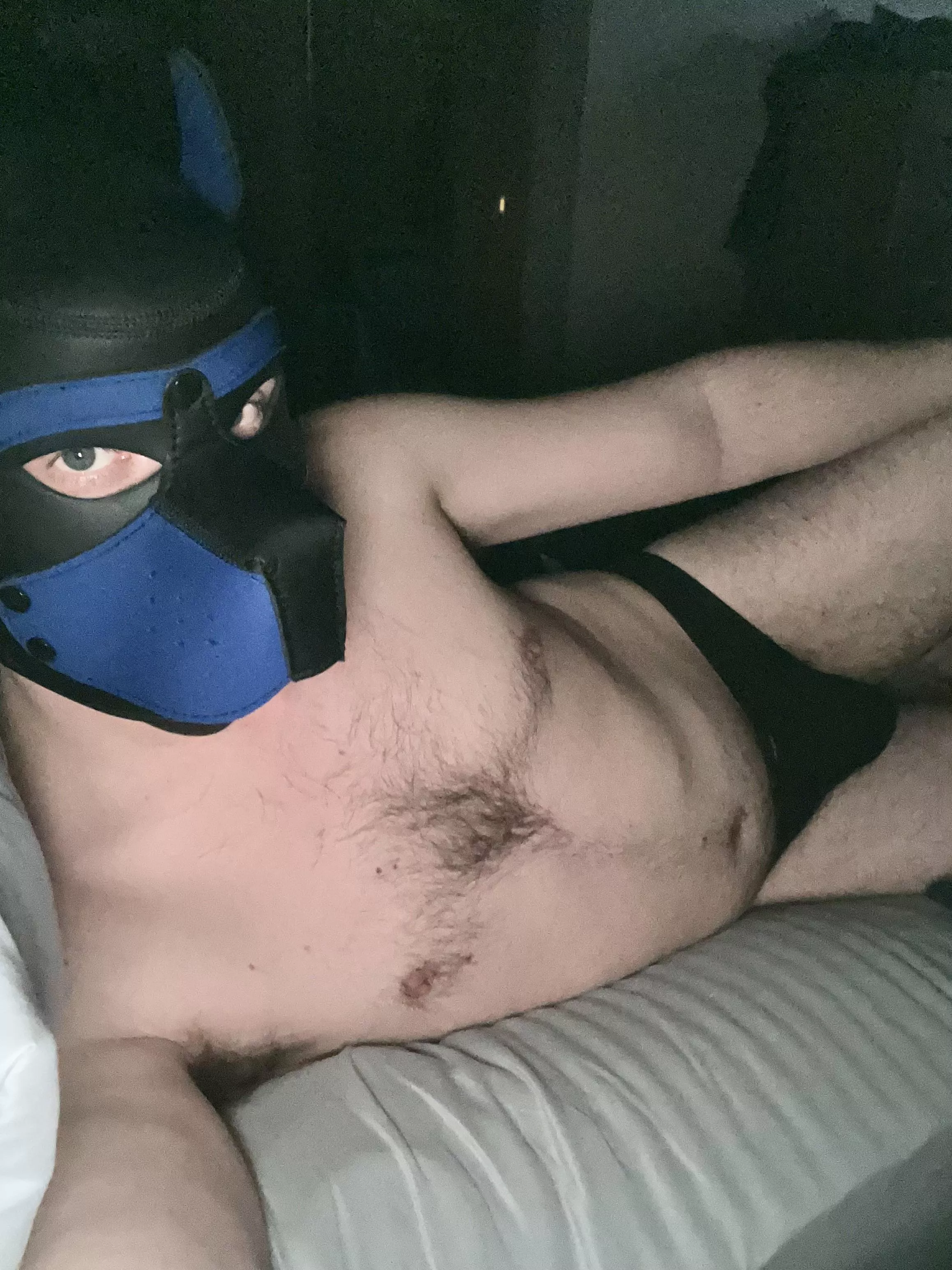 Full moon has pup feeling frisky