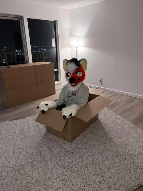 Got a little distracted while moving 😅