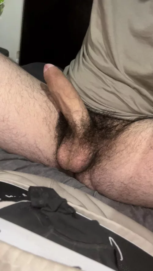 Have I got enough pubes for you?😏🍆Dms open😈