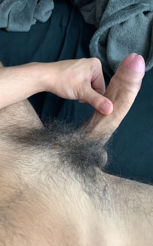 haven’t trimmed in a bit