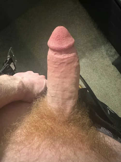 Haven’t trimmed in a while so enjoy the full bush