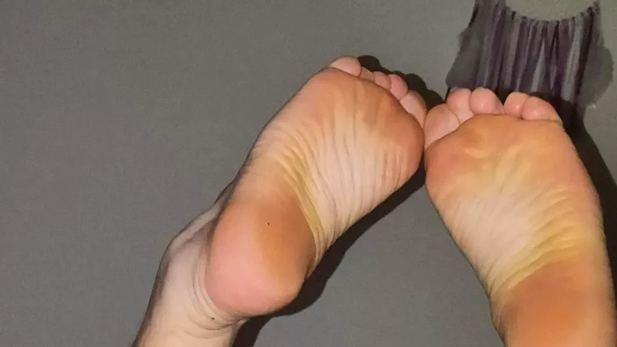 hello everyone good day