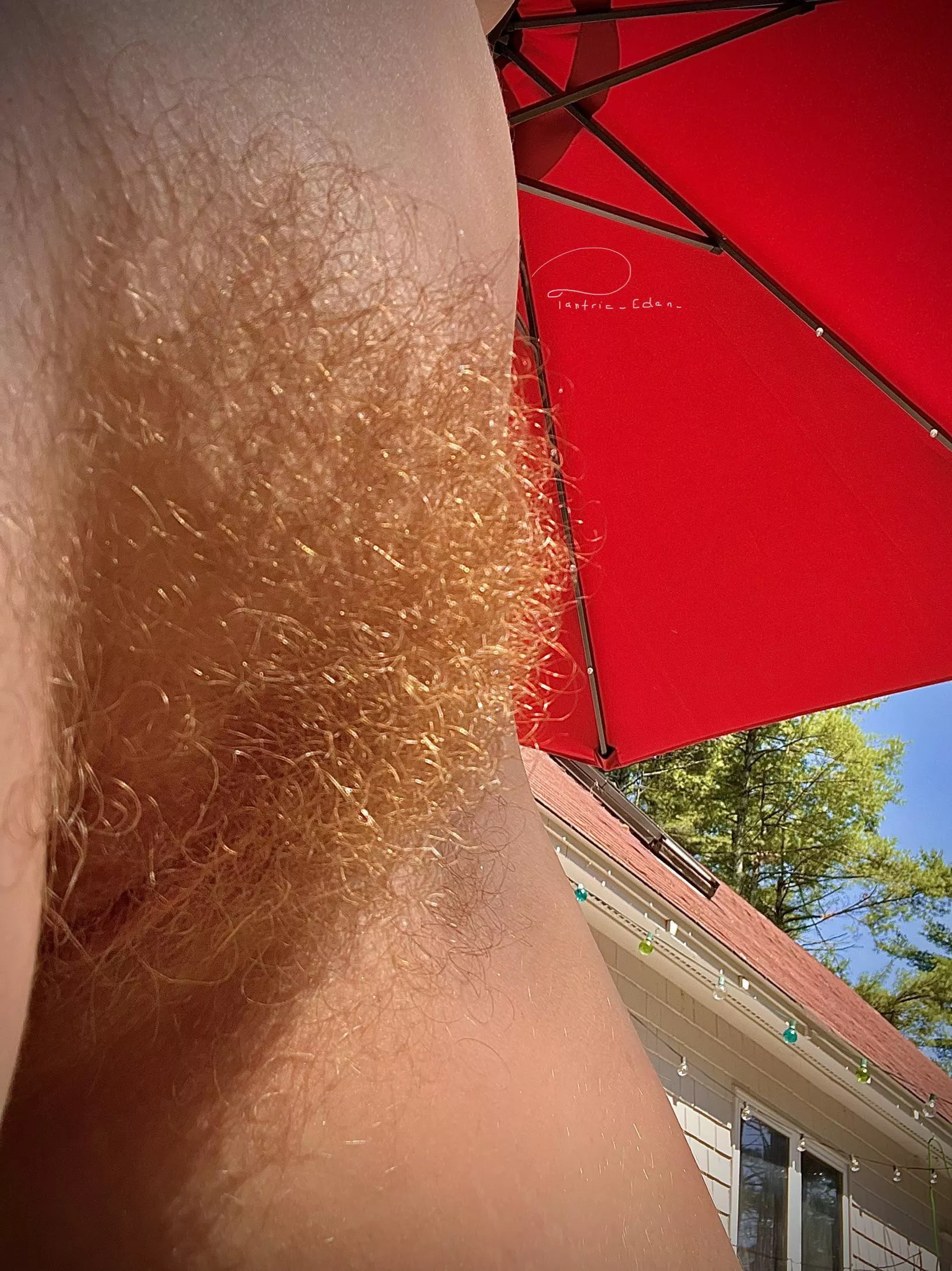 I can only think of one thing I’d rather have kissing my bush than sunshine ;)