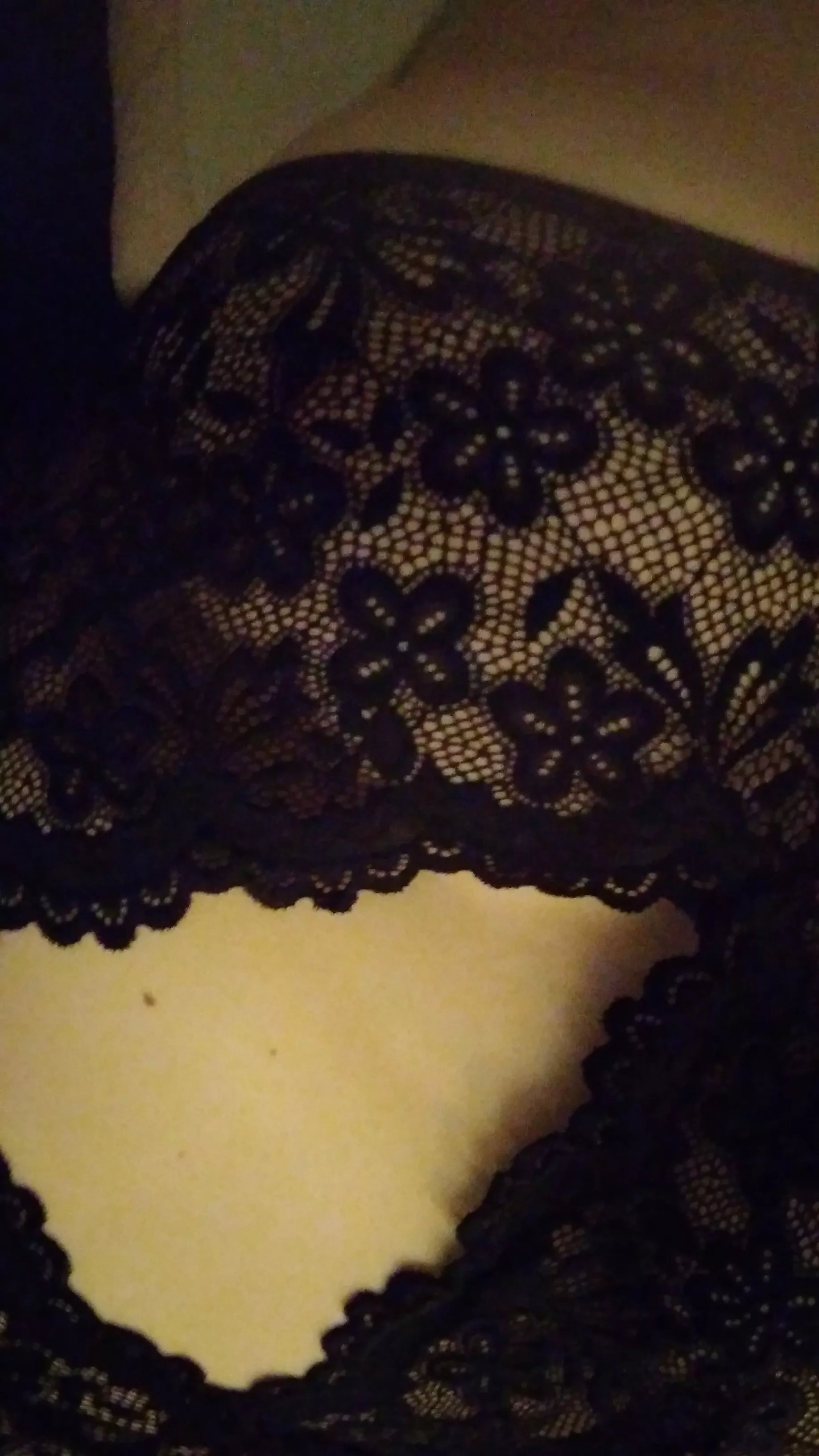 I want to host a dogging