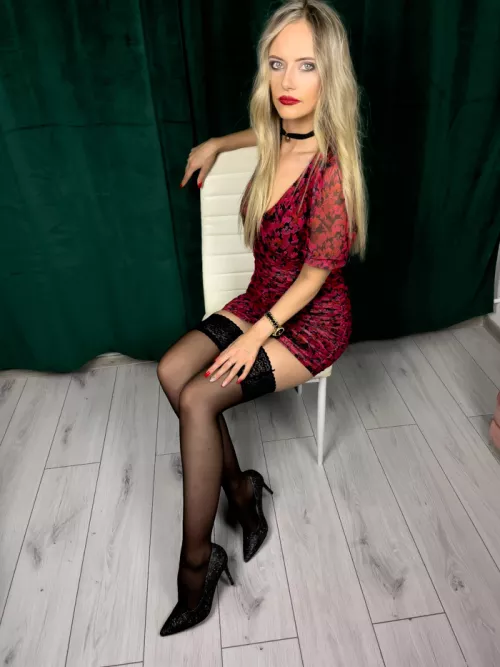 I'll be the best pet you ever had, trust me