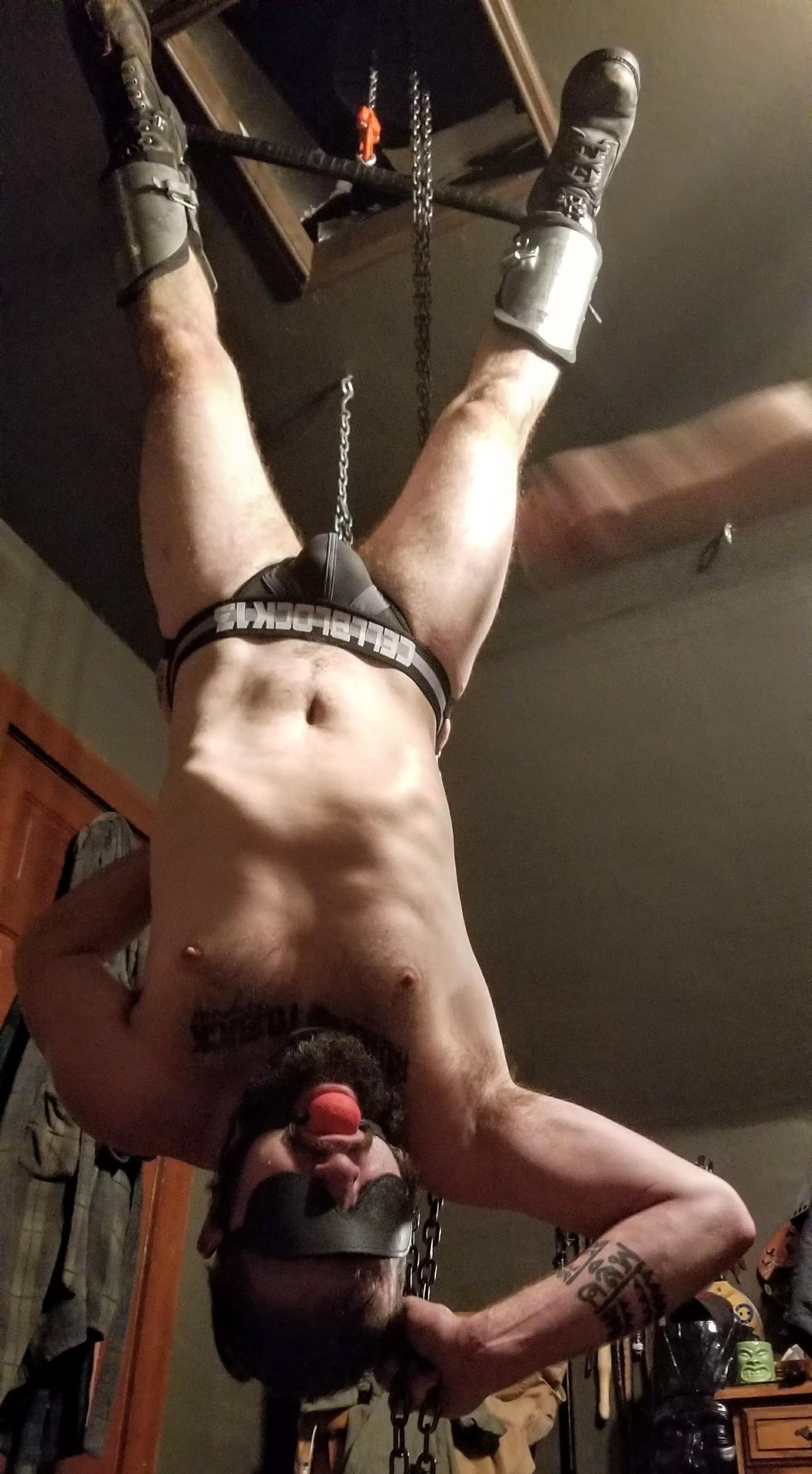 Just hangin' out... (OC)